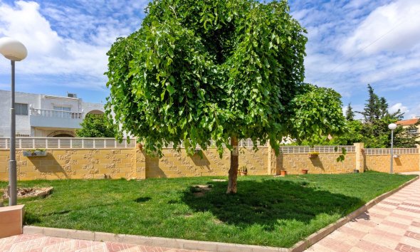 Resale - Apartment - Torrevieja - El chaparral