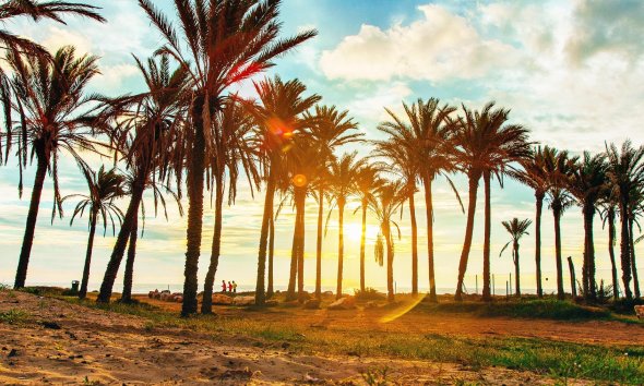 Resale - Apartment - Orihuela Costa - Punta Prima