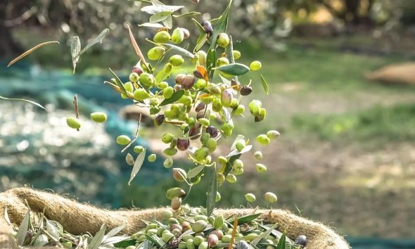 Resale - Farm Estate / Country Property - Puerto Lumbreras - Nogalte