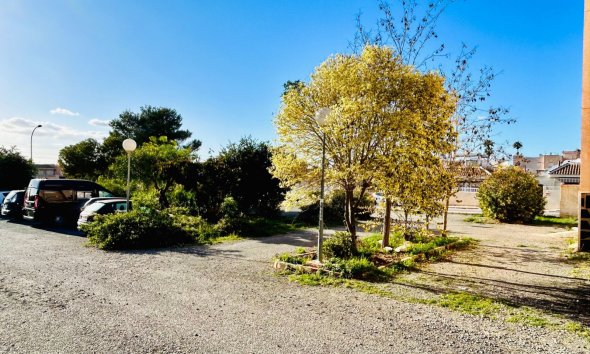 Rynek Wtórny - Apartament - Torrevieja - El Chaparral