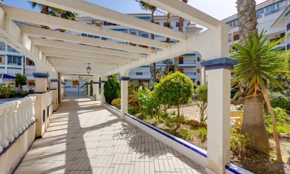 Resale - Apartment - Torrevieja - La Mata