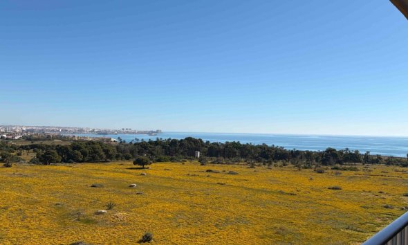 Rynek Wtórny - Apartament - Orihuela Costa - Punta Prima