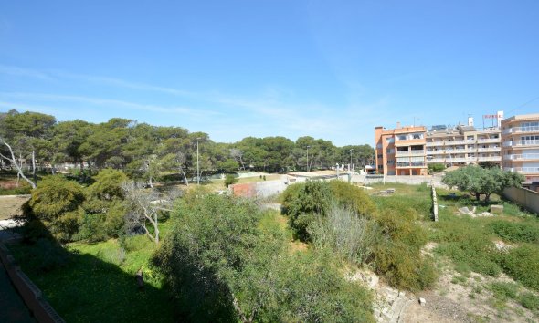 Rynek Wtórny - Apartament - Guardamar del Segura - CERVANTES-PLAYA