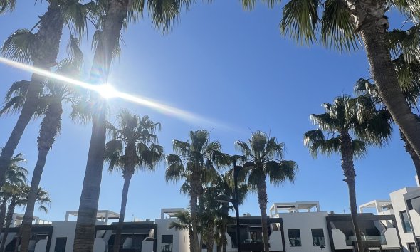 Rynek Wtórny - Apartament - Orihuela Costa - La Zenia