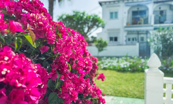 Reventa - Bungalow - Torrevieja - Lago Jardin