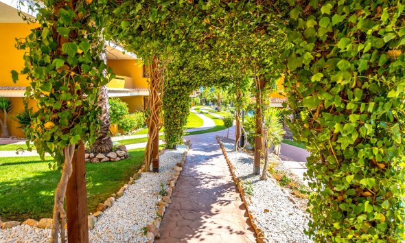 Resale - Apartment - Torrevieja - Punta Prima