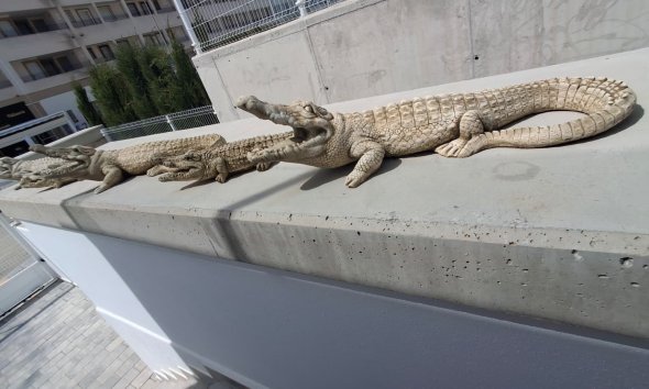 Resale - Villa - Orihuela - Entre Naranjos Vistabella Golf