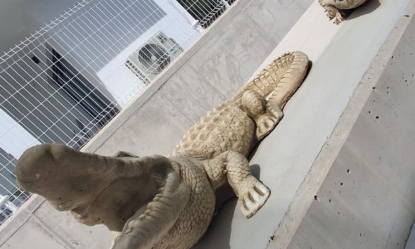 Resale - Villa - Orihuela - Entre Naranjos Vistabella Golf