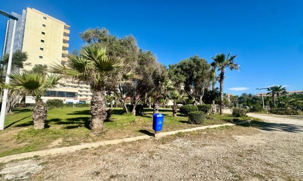 Resale - Apartment - Torrevieja - Cabo cervera