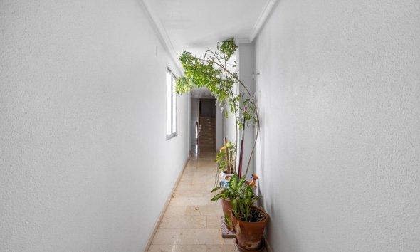 Resale - Apartment - Torrevieja - Playa del cura