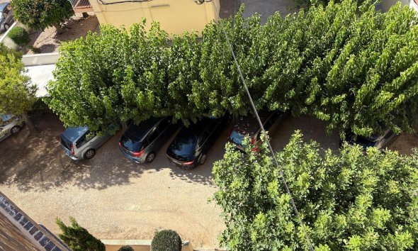 Resale - Apartment - Torrevieja - La Mata