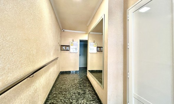 Resale - Apartment - ﻿Torrevieja (Alicante) - Torrevieja