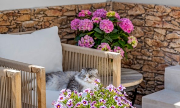 Resale - Terraced house / Townhouse - Alicante - Playa San Juan