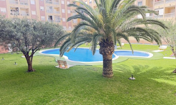 Reventa - Apartamento - Torrevieja
