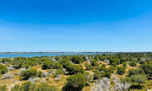 Reventa - Apartamento - Torrevieja - Urbanización San Luis