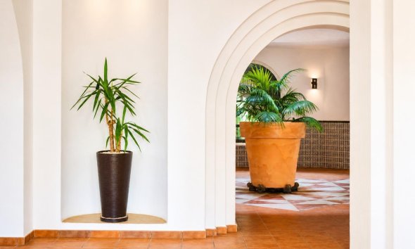 Resale - Apartment - Torrevieja - Los Frutales