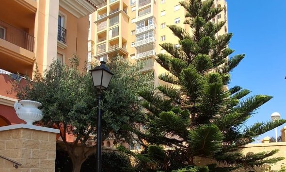 Resale - Apartment - Torrevieja - Los Frutales