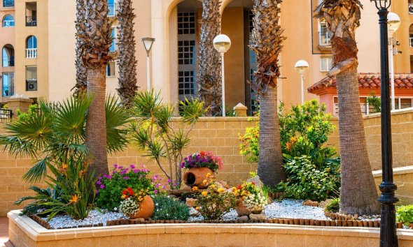 Resale - Apartment - Torrevieja - Los Frutales