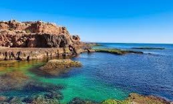 Resale - Apartment - Torrevieja - Los Frutales
