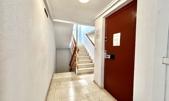 Reventa - Apartamento - Torrevieja