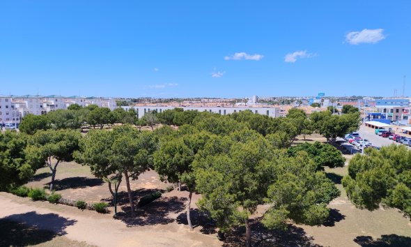 Rynek Wtórny - Apartament - Orihuela Costa - La Zenia