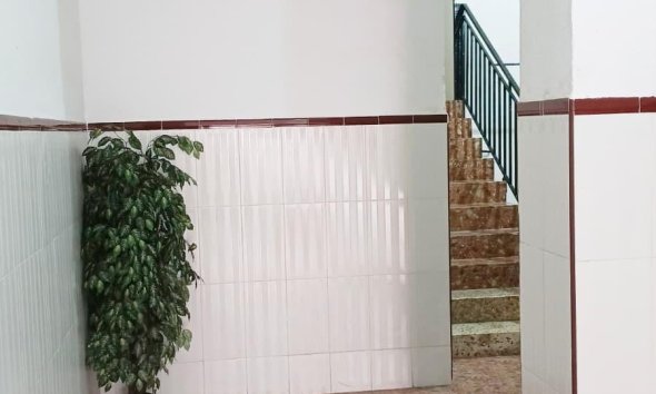 Rynek Wtórny - Apartament - Torrevieja - Centro