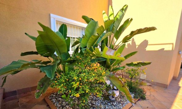 Resale - Villa - Dehesa de campoamor - Campoamor