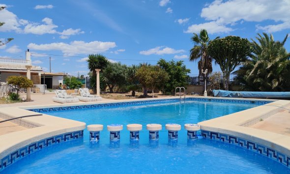 Resale - Farm Estate / Country Property - Los Montesinos