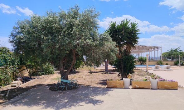 Resale - Farm Estate / Country Property - Los Montesinos