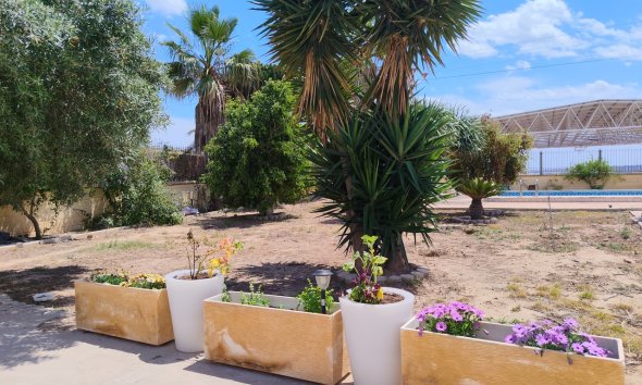 Resale - Farm Estate / Country Property - Los Montesinos