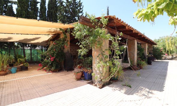 Resale - Farm Estate / Country Property - Catral - Catral - Country