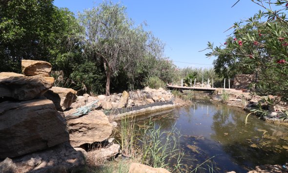 Resale - Farm Estate / Country Property - Catral - Catral - Country