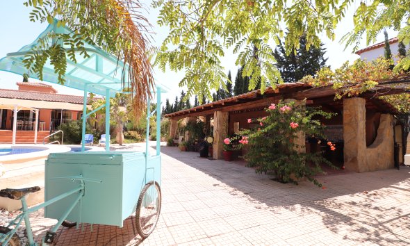 Resale - Farm Estate / Country Property - Catral - Catral - Country