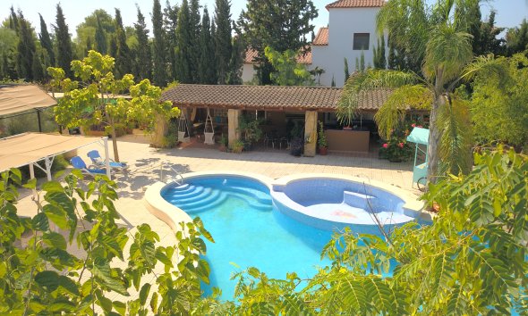 Resale - Farm Estate / Country Property - Catral - Catral - Country