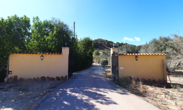 Resale - Farm Estate / Country Property - Aspe - Aspe - Country