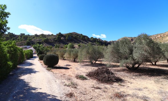 Resale - Farm Estate / Country Property - Aspe - Aspe - Country
