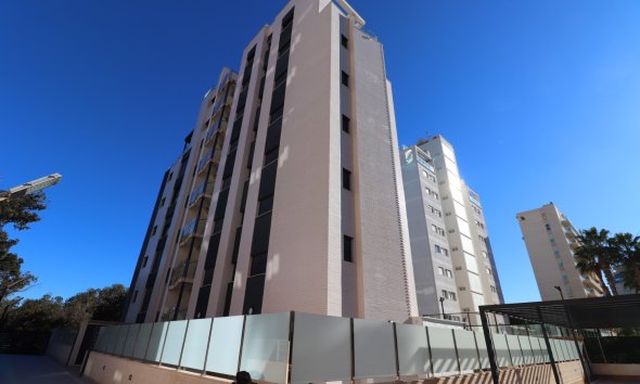 Resale - Apartment - Guardamar del Segura - Guardamar del Segura - Town