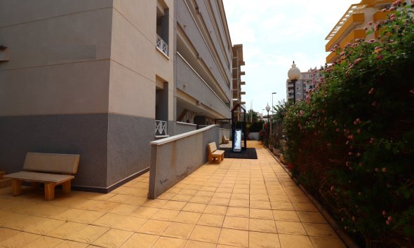 Reventa - Apartamento - Guardamar del Segura - Guardamar del Segura - Town