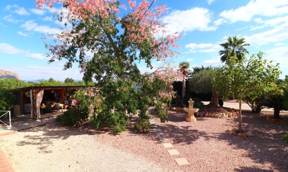 Resale - Farm Estate / Country Property - Orihuela - La Campaneta
