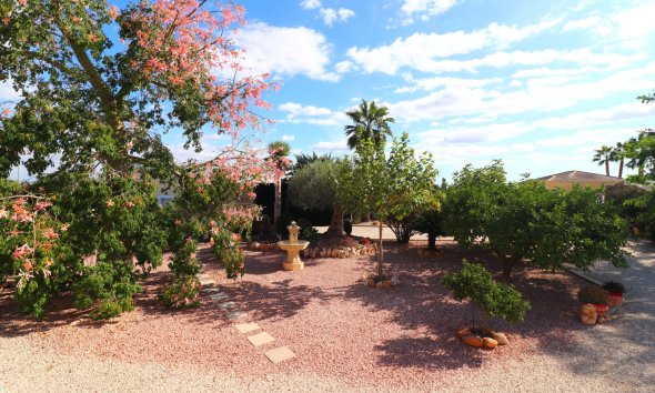 Resale - Farm Estate / Country Property - Orihuela - La Campaneta