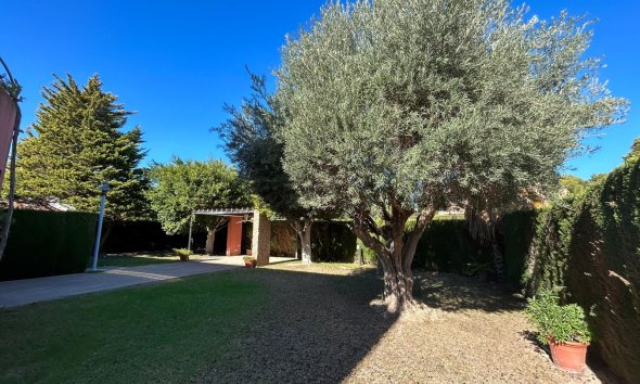 Resale - Villa - Orihuela Costa - Dehesa de Campoamor