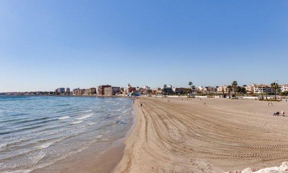 Resale - Bungalow - Torrevieja - Centro - Muelle Pesquero