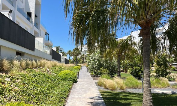 Resale - Apartment - Torrevieja - Los Altos