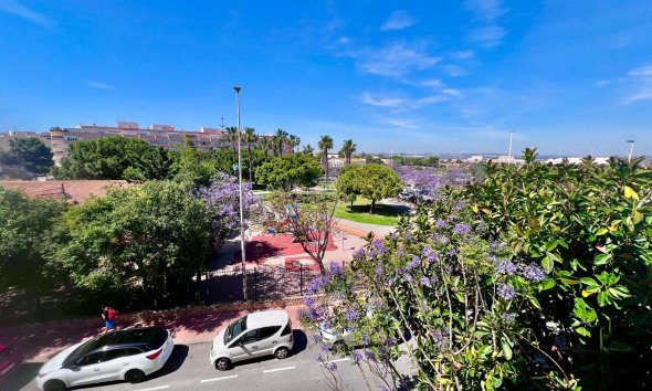Resale - Apartment - Torrevieja - Acequion