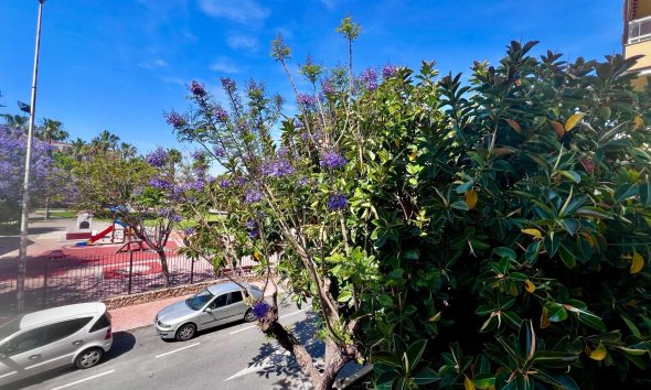Resale - Apartment - Torrevieja - Acequion