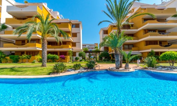 Reventa - Apartamento - Punta Prima