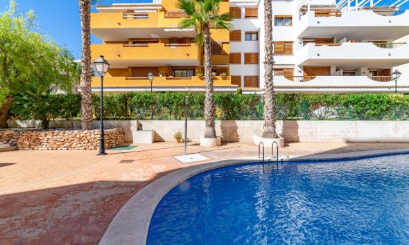 Reventa - Apartamento - Punta Prima