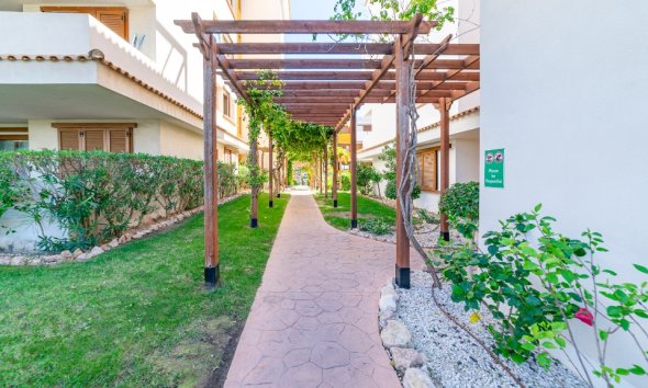 Reventa - Apartamento - Punta Prima