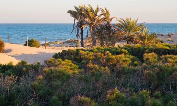 Resale - Apartment - Guardamar del Segura - El Raso