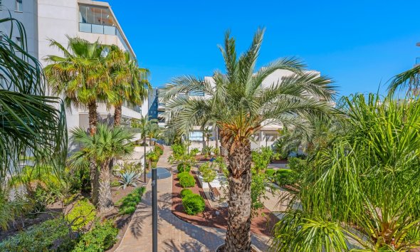 Resale - Apartment - Orihuela Costa - Los Dolses